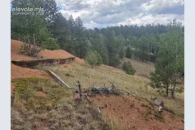 1124 Yorktown Road, Cripple Creek, CO 80813 - Photo 8