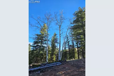 652 Derby Drive, Cripple Creek, CO 80813 - Photo 22