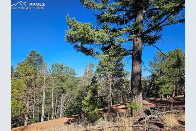 652 Derby Drive, Cripple Creek, CO 80813 - Photo 4