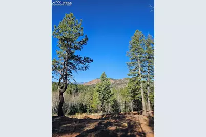 652 Derby Drive, Cripple Creek, CO 80813 - Photo 10