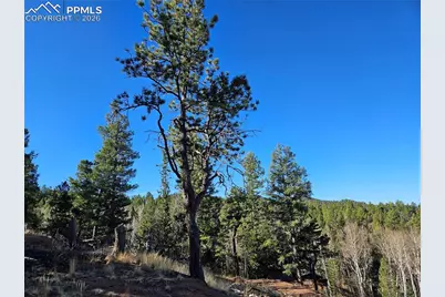 652 Derby Drive, Cripple Creek, CO 80813 - Photo 12