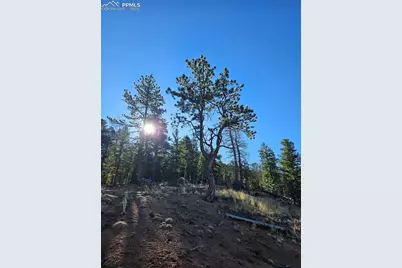 652 Derby Drive, Cripple Creek, CO 80813 - Photo 24