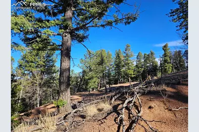 652 Derby Drive, Cripple Creek, CO 80813 - Photo 2