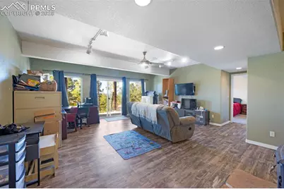 516 Saguache Drive, Florissant, CO 80816 - Photo 18