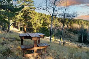 516 Saguache Dr, Florissant, CO 80816 - Photo 32