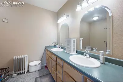 516 Saguache Drive, Florissant, CO 80816 - Photo 20