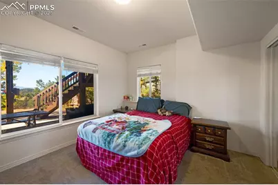 516 Saguache Drive, Florissant, CO 80816 - Photo 22