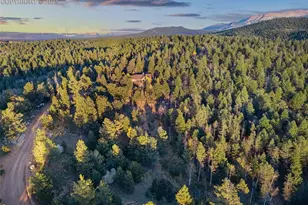 516 Saguache Dr, Florissant, CO 80816 - Photo 38