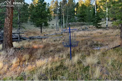 516 Saguache Drive, Florissant, CO 80816 - Photo 34