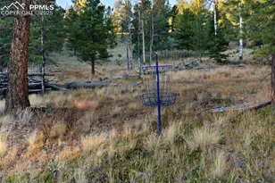 516 Saguache Dr, Florissant, CO 80816 - Photo 34