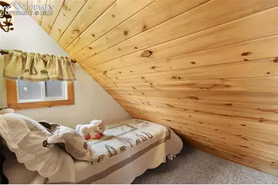 334 Pulver Road, Lake George, CO 80827 - Photo 32