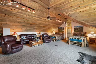 334 Pulver Rd, Lake George, CO 80827 - Photo 36