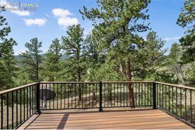 334 Pulver Road, Lake George, CO 80827 - Photo 44