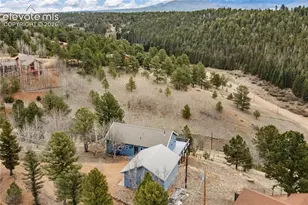 3543 Blue Mesa Dr, Divide, CO 80814 - Photo 38