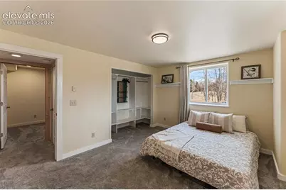 3543 Blue Mesa Drive, Divide, CO 80814 - Photo 28