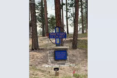 3155 Promise Point, Colorado Springs, CO 80921 - Photo 26