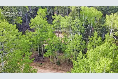 714 Will Stutley Drive, Divide, CO 80814 - Photo 18