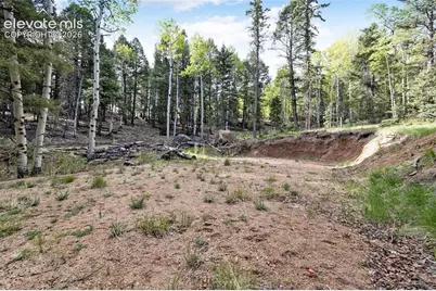 714 Will Stutley Drive, Divide, CO 80814 - Photo 6