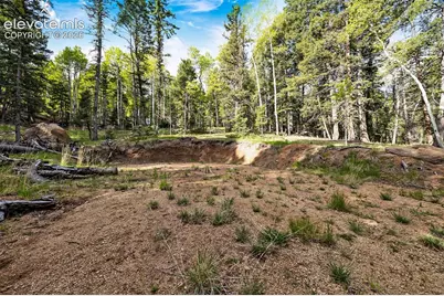 714 Will Stutley Drive, Divide, CO 80814 - Photo 4