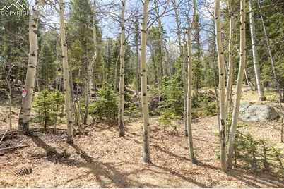 714 Will Stutley Drive, Divide, CO 80814 - Photo 4