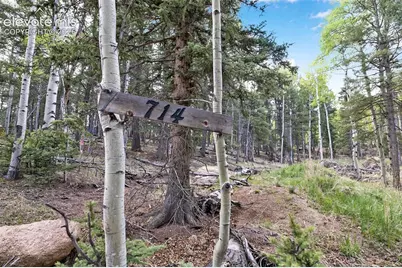 714 Will Stutley Drive, Divide, CO 80814 - Photo 2