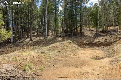 714 Will Stutley Drive, Divide, CO 80814 - Photo 10