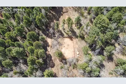 714 Will Stutley Drive, Divide, CO 80814 - Photo 18