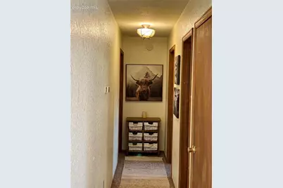 410 Hillcrest Avenue, Woodland Park, CO 80863 - Photo 24