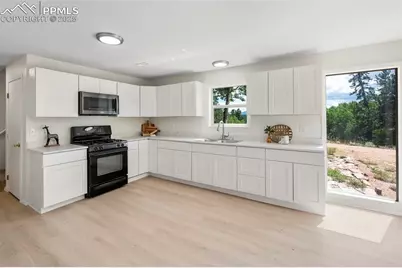 4710 Wildhorn Road, Florissant, CO 80816 - Photo 4