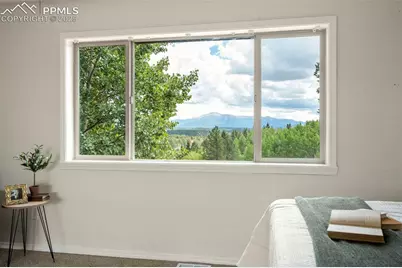 4710 Wildhorn Road, Florissant, CO 80816 - Photo 16