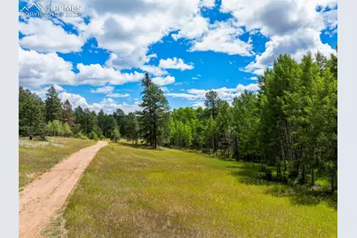 4710 Wildhorn Road, Florissant, CO 80816 - Photo 36
