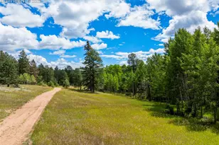 4710 Wildhorn Rd, Florissant, CO 80816 - Photo 36