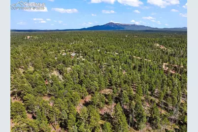 65 Spruce Creek Road, Divide, CO 80814 - Photo 18