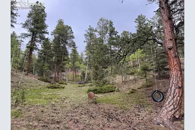 65 Spruce Creek Road, Divide, CO 80814 - Photo 30
