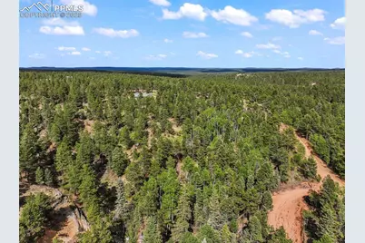 65 Spruce Creek Road, Divide, CO 80814 - Photo 10