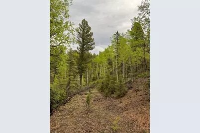 65 Spruce Creek Road, Divide, CO 80814 - Photo 24