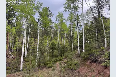 65 Spruce Creek Road, Divide, CO 80814 - Photo 26