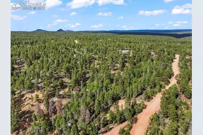 65 Spruce Creek Road, Divide, CO 80814 - Photo 20