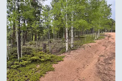 65 Spruce Creek Road, Divide, CO 80814 - Photo 34