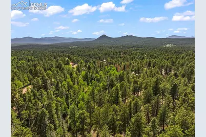 65 Spruce Creek Road, Divide, CO 80814 - Photo 6