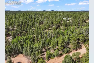 65 Spruce Creek Road, Divide, CO 80814 - Photo 2