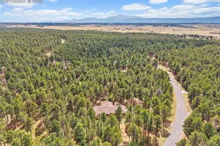 4235 Slash Pine Dr, Colorado Springs, CO 80908 - Photo 50