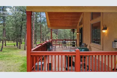 4235 Slash Pine Drive, Colorado Springs, CO 80908 - Photo 44