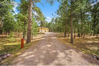 4235 Slash Pine Drive, Colorado Springs, CO 80908 - Photo 48