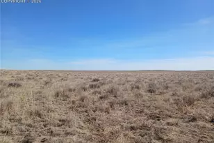 19981 Cloudfield Point, Colorado Springs, CO 80928 - Photo 32