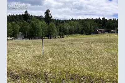 216 Will Scarlet Drive, Divide, CO 80814 - Photo 2