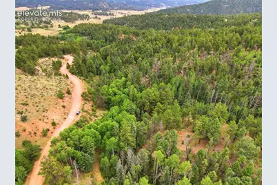 1310 Park Ridge Drive, Guffey, CO 80820 - Photo 4