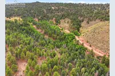 1310 Park Ridge Drive, Guffey, CO 80820 - Photo 10