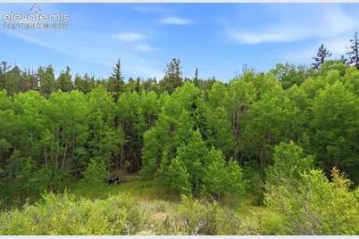 1310 Park Ridge Drive, Guffey, CO 80820 - Photo 14