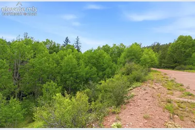 1310 Park Ridge Drive, Guffey, CO 80820 - Photo 16